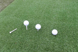 Tee mit allen Holz-Tees verwendbar !!!